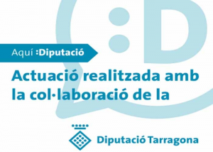 Subvenció de la Diputació de Tarragona per inversions PAM 2021